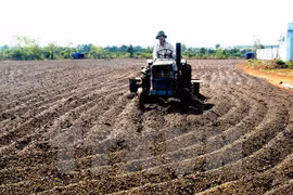 Empresas japonesas interesadas en agricultura en Vietnam
