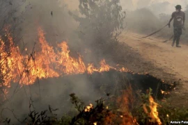 Contaminación atmosférica en Indonesia se expande a Filipinas