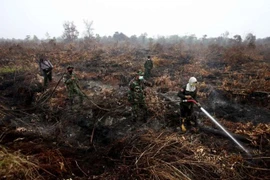 Indonesia moviliza 25 aviones para apagar incendios