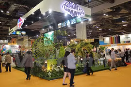 Turismo vietnamita empeña en integrar en comunidad de ASEAN