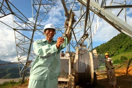 Garantiza EVN el suministro de electricidad en octubre
