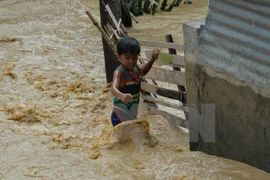 Elevan a 16 los muertos por el tifón Koppu en Filipinas