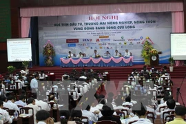 Organizarán foro de cooperación económica en Hau Giang