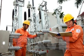 Asistencia francesa para optimizar inversiones en red eléctrica