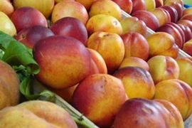Polonia firma acuerdo para exportar manzana a Vietnam