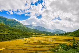 Un "mini Sa Pa" en la provincia costera de Quang Ninh