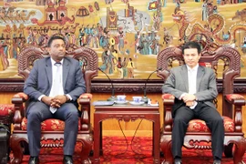 Buscan grupos españoles oportunidades de inversión en Vinh Phuc