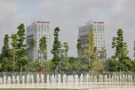 En Da Nang simposio sobre zona industrial ecológica