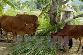 Vicepremier pide revisar políticas a favor de los pobres