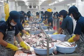 TLC con la UE favorecerá relaciones Vietnam- Bélgica