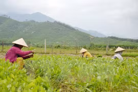 Participa Vietnam en Conferencia de Cancilleres de ASEM