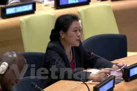 Vietnam respalda a ejecución jurídica sobre la base de Carta de ONU