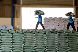 Indonesia:Llegarán próximamente 50 mil toneladas de arroz de Vietnam y Tailandia