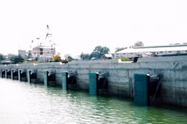 Inauguran en Dong Nai muelle para barcos de gran tonelaje