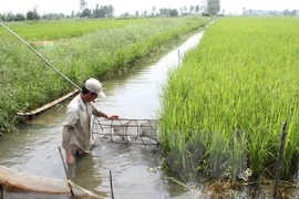  Mesa redonda hacia agricultura sostenible en Sudeste de Asia