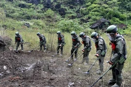 Vietnam y China cooperan en remoción de minas en zonas fronterizas