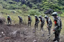 Vietnam y China cooperan en remoción de minas en zonas fronterizas