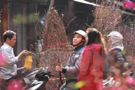 Vietnamitas gozarán de nueve días festivos por el Tet 2016