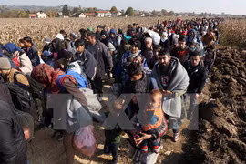 Vietnam promete garantizar y promover derechos humanos