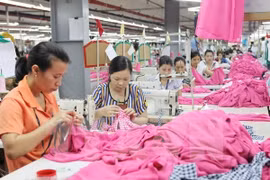 OIT dispuesta a apoyar a Vietnam para afinar regulaciones laborales