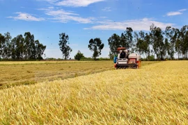 Vietnam y Japón cooperan en desarrollo agrícola de alta tecnología