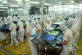  Empresas filipinas buscan oportunidades de cooperación en Vietnam