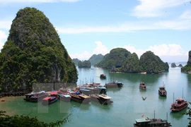 Busca Vietnam desarrollar de forma sostenible zonas costeras