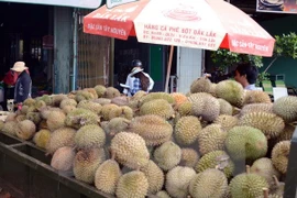 Reconocen a 59 productos agrícolas como marcas de oro