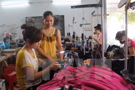 Vietnam esfuerza para proteger derechos de trabajadores migrantes