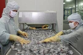Calidad y precio competitivo, clave para camarones exportables 