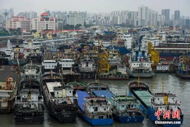 Más de 120 pescadores filipinos desaparecidos por tifón Mujigae