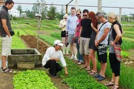 Aldea hortícola Tra Que entre los destinos atractivos de Vietnam 