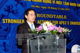 Listo Vietnam para Año de APEC 2017