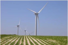 Tra Vinh exhorta más inversiones en proyectos de energía eólica