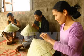 Continúa Vietnam actividades en pro de igualdad de sexo