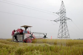 Sector de agricultura busca mayor inversión en tiempo del TPP