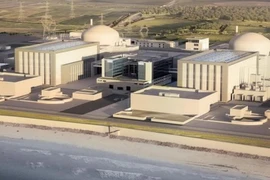 Efectúan seminario sobre desarrollo nucleoeléctrico de Vietnam