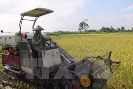 Foto de ilustración (Fuente: VNA)