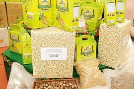 Exportación vietnamita de anacardo registra notable incremento