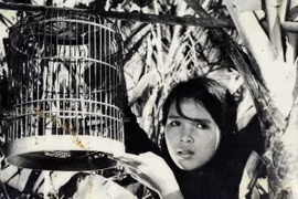 Inauguran Semana de Cine de Vietnam en Paraguay