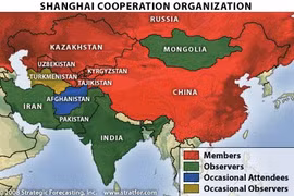 Organización de Cooperación de Shanghái forja colaboración con ASEAN
