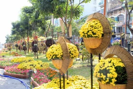 Recorrido de flores embellecerá Ciudad Ho Chi Minh en Año Nuevo Lunar