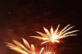Fuegos artificiales abren festival de “paraíso de las flores” Da Lat