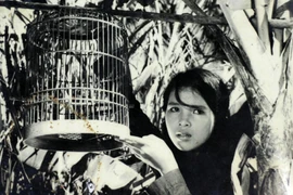 Amigos alemanes “repatrían” más de 200 filmes valiosos sobre Vietnam