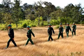 Soldados vietnamitas patrullan en zona fronteriza (Fuente: VNA)