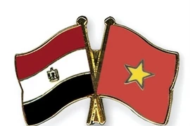 Vietnam y Egipto realizan octava consulta política 