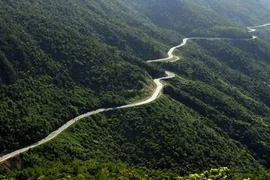 Paso Hai Van (Fuente: Internet)