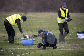 Holanda persiste en proceso contra autores de derribo de MH17