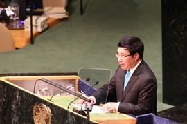 El viceprimer ministro y canciller de Vietnam, Pham Binh Minh (Fuente: VNA)
