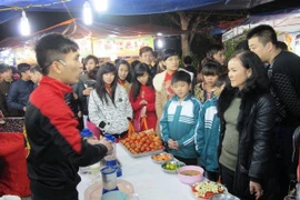 La Feria del Comercio y Turismo Vietnam – China 2013 se efectuá en la provincia norteña de Quang Ninh. (Fuente: VNA)